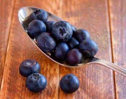 Flavonoidler ne işe yarar?