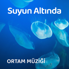 Su Altı Sesleri