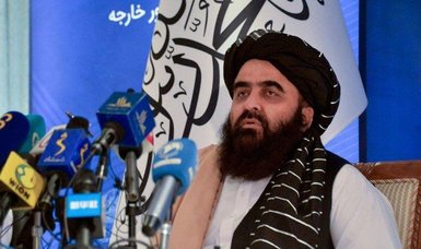 Taliban urges United States to release frozen funds during Doha talks
