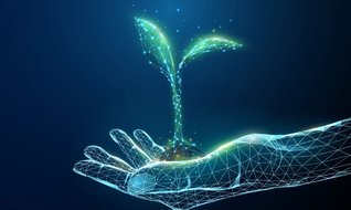 İhracatta yeşil dönüşüme destek