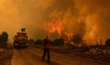 Wildfires ravaging forestlands in many parts of globe