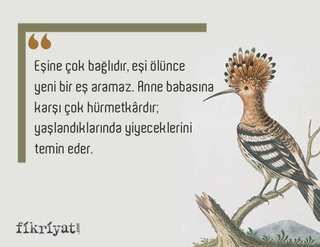 BİR ÖZELLİK
