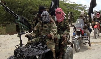 Boko Haram terrorists kill 11 farmers in Nigeria