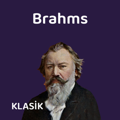 Sonata for clarinet or viola Piano No.2 in e flat major Op.120-2 (1)