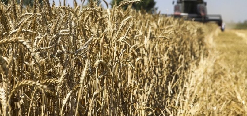 MEDIATION EFFORTS EXPECTED FROM TÜRKIYE FOR GRAIN CRISIS ISSUE