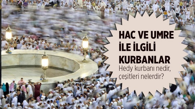 Hedy kurbanı nedir, ne zaman kesilir? Hedy kurbanı çeşitleri...