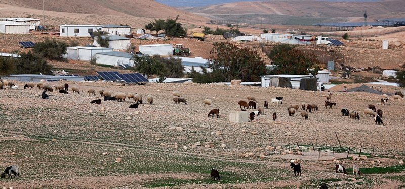 West Bank Bedouin community says Israeli settlers stole hundreds of sheep
