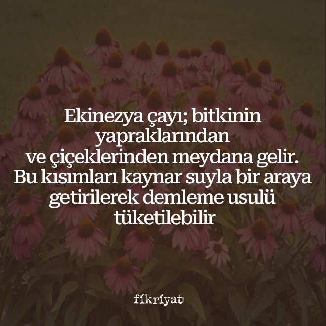 EKİNAZYA