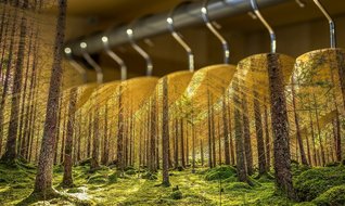 Tekstil sektörünün yeşil takvimi -1-