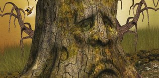 Hayal ile Hakikat Arasında: Bir Mabet veya  ‘Fabrika’ Olmak Arasında Tabiat Tasavvuru