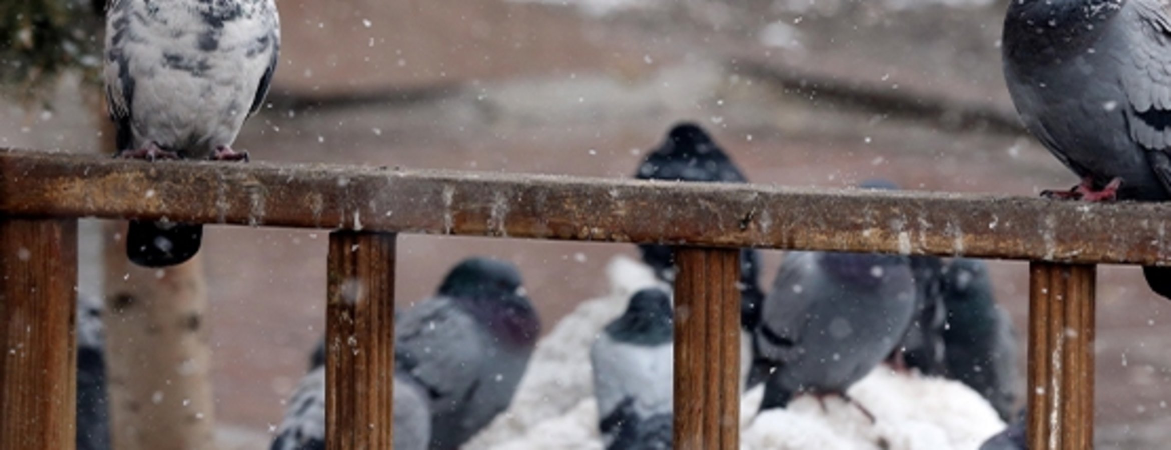 Karla kaplanan Erzurum, Ardahan, Kars ve Ağrı’da soğuk hava etkili