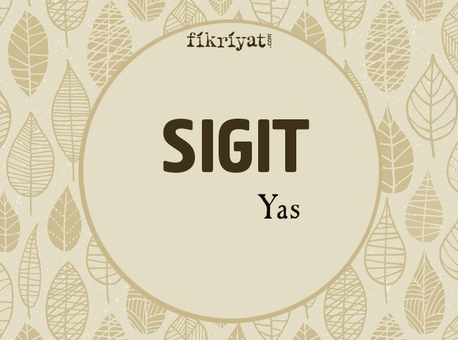 SIGIT