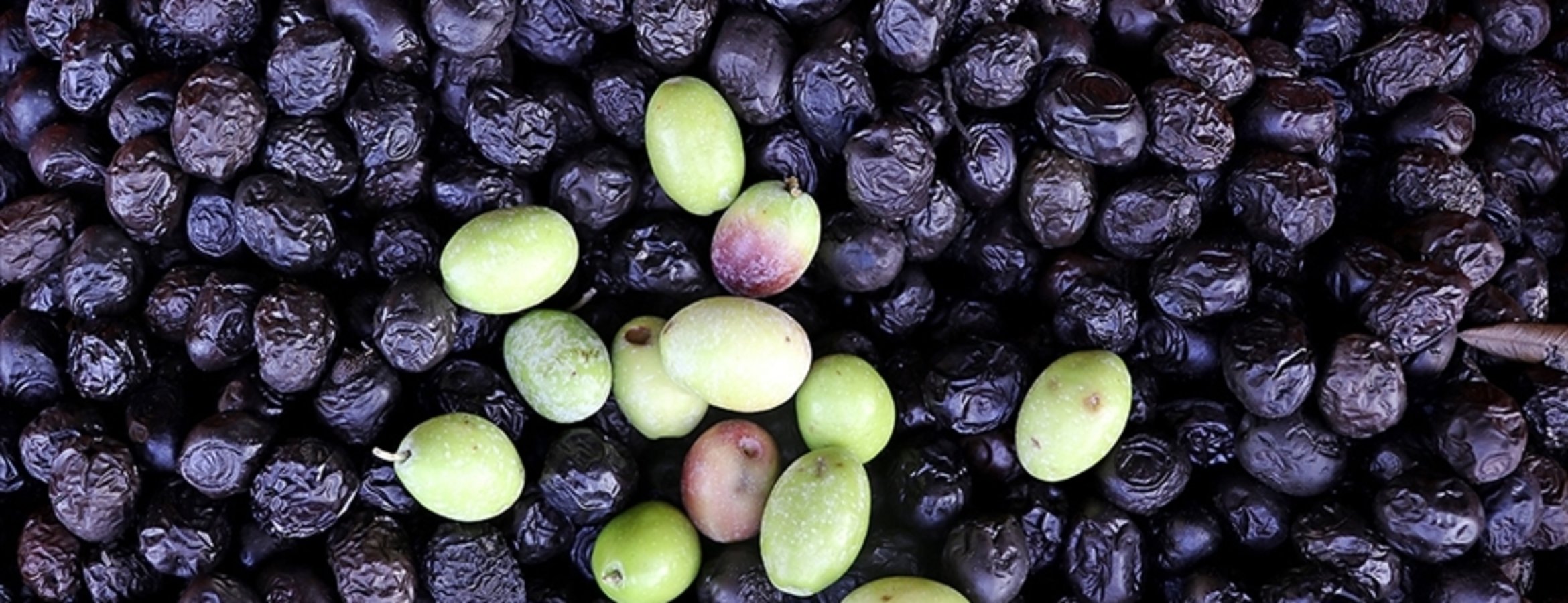 Türkiye’den 116 ülkeye 175 milyon dolarlık sofralık zeytin ihracatı
