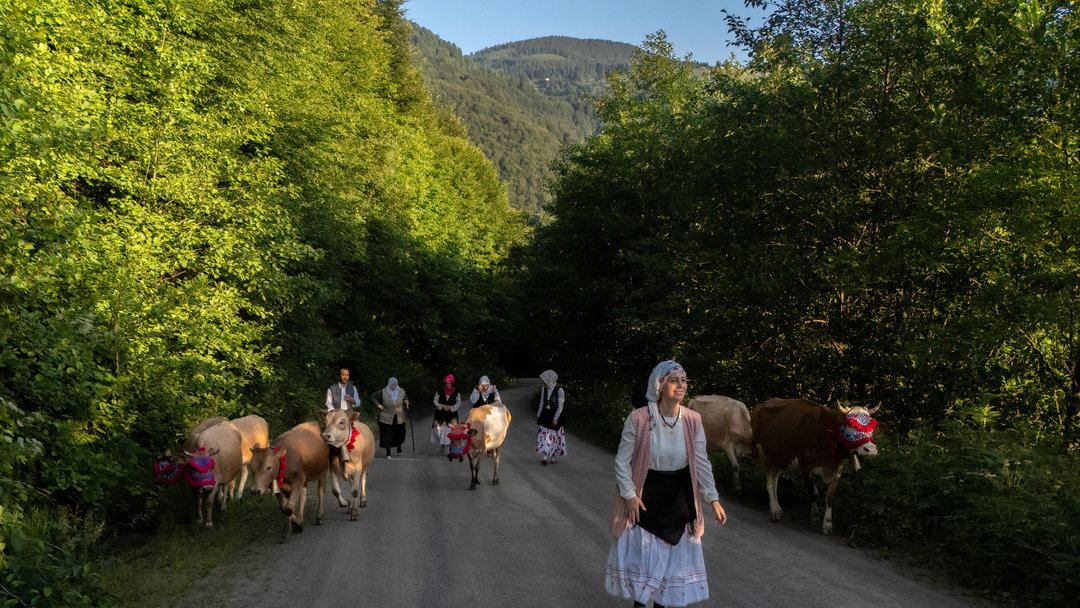 TRABZON’DA YAYLA GÖÇÜ DEVAM EDİYOR