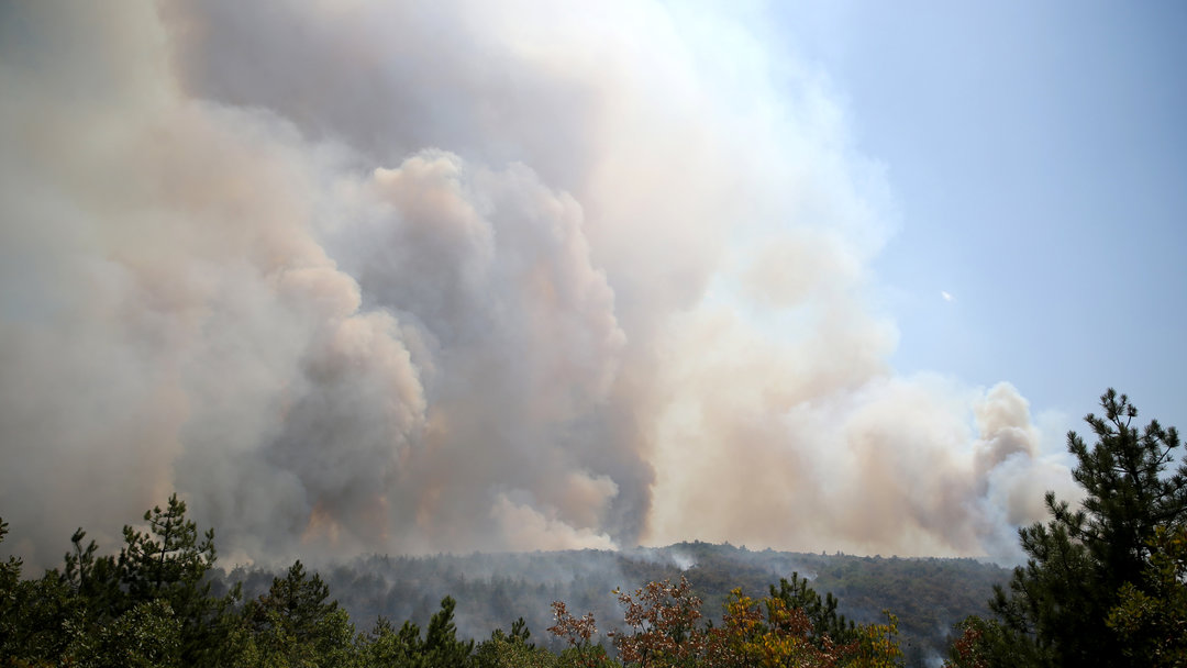 KASTAMONU’DA ORMAN YANGINI