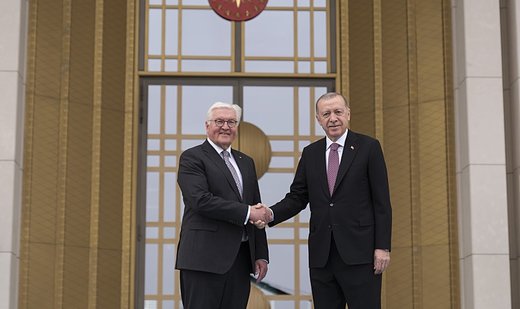 Erdoğan, German counterpart Steinmeier meet in Ankara for talks
