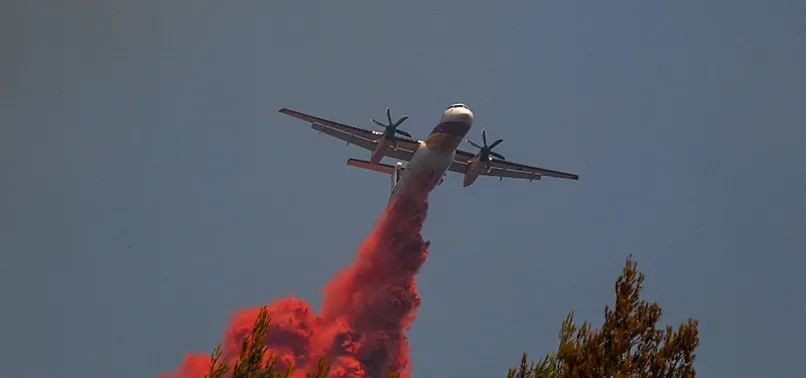 MORE THAN 40 FRENCH DEPARTMENTS UNDER ORANGE HEAT ALERT AS TEMPERATURES RISE