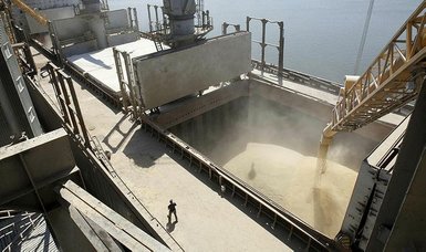 Over 15 mln tons of grain exported from Ukraine - minister