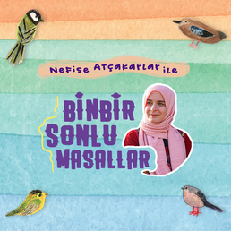Binbir Sonlu Masallar 