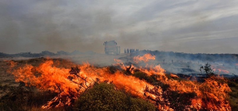 FOREST FIRES CREATING LARGE SCALE DAMAGE IN ARGENTINA