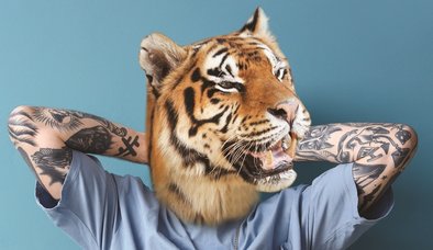 GÖSTERGEDEN TEŞHİRE DOĞRU DÖVME