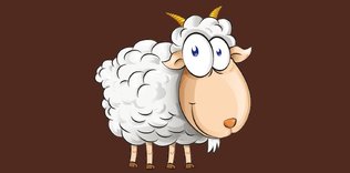 Nijer’e keçi yardımı