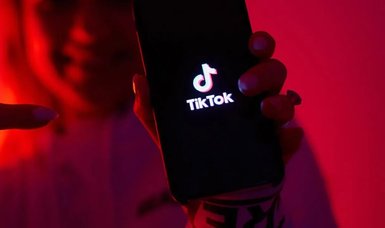 Students turn to TikTok to fill gaps in school lessons