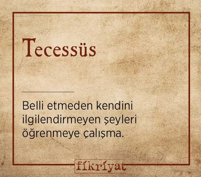Tecessüs