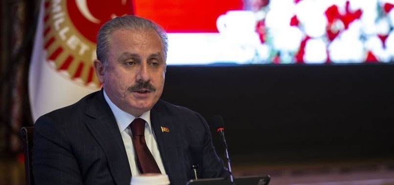 TURKISH PARLIAMENT HEAD REJECTS EU RESOLUTION ON CYPRUS