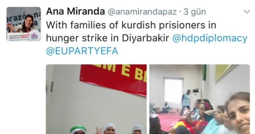 AGİT gözlemcisinin HDP aşkı