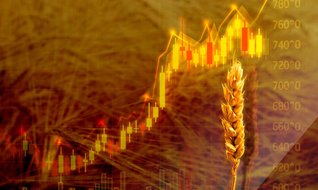 Küresel tahıl borsasında kilit oyuncu!