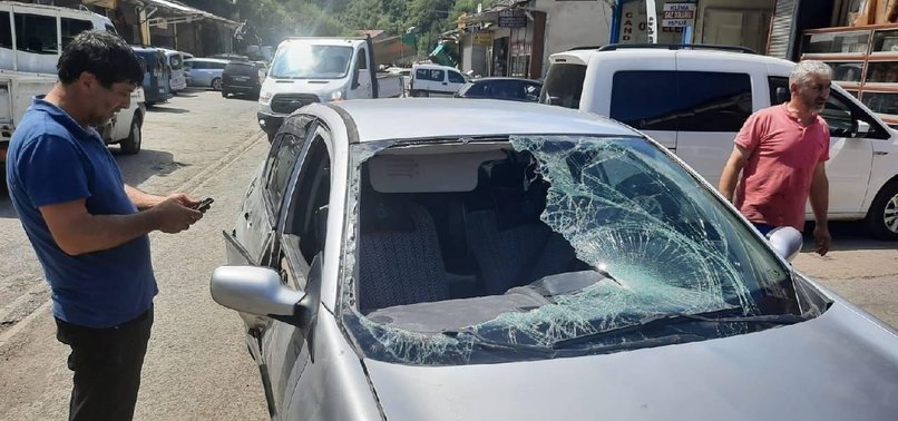 BEAR DAMAGED A PARKED CAR IN TÜRKIYE