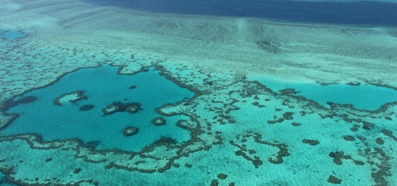 GREAT BARRIER REEF DIED 5 TIMES IN PAST 30,000 YEARS, STUDY SAYS