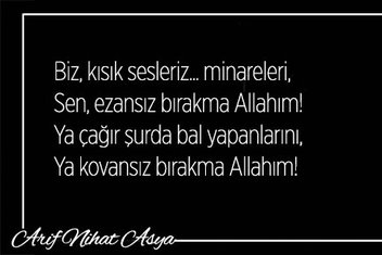 siirin tepesine bayrak diken arif nihat