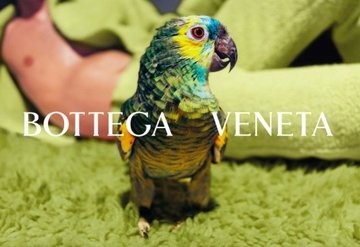 Bottega Veneta Tüm Sosyal Medya Hesaplarının Neden Sildiğini Açıkladı