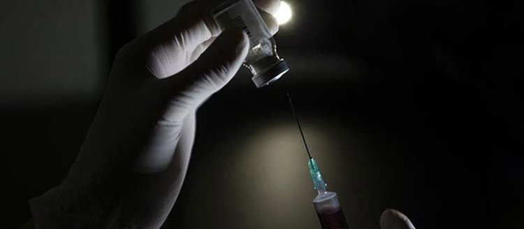 Pandemiden çıkışın umudu Kovid-19 aşısı için çalışmalar sürüyor