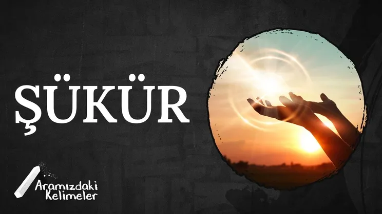 Her Daim Şükreyle | Aramızdaki Kelimeler