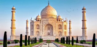 Kutsal sığırlara ambulans servisi