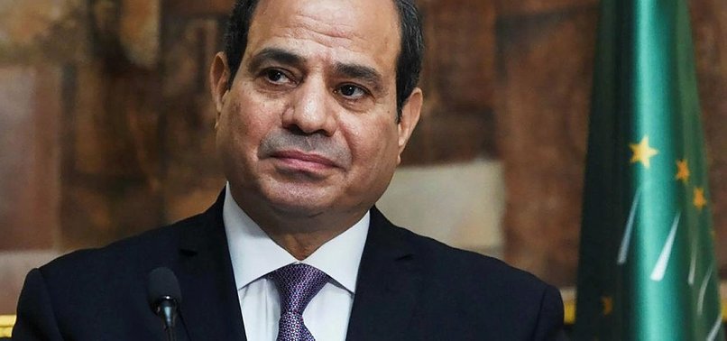 20 NGOS URGE FRANCE TO CRITICIZE EGYPTIAN PRESIDENT