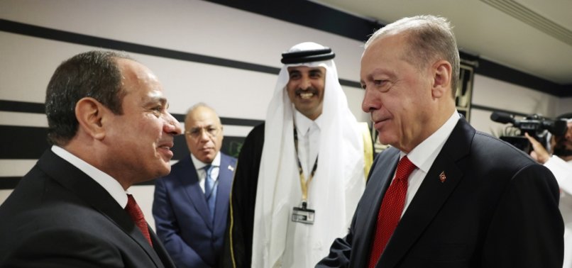 ERDOĞAN SHAKES HANDS WITH EGYPTS LEADER SISI AT WORLD CUP