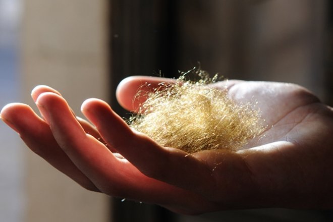 DENİZ İPEĞİ NASIL ELDE EDİLİYOR?