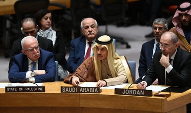 Arab foreign ministers urge permanent cease-fire in Gaza