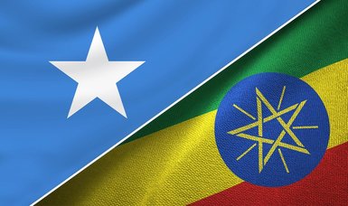 Ethiopia appoints ambassador to Somalia