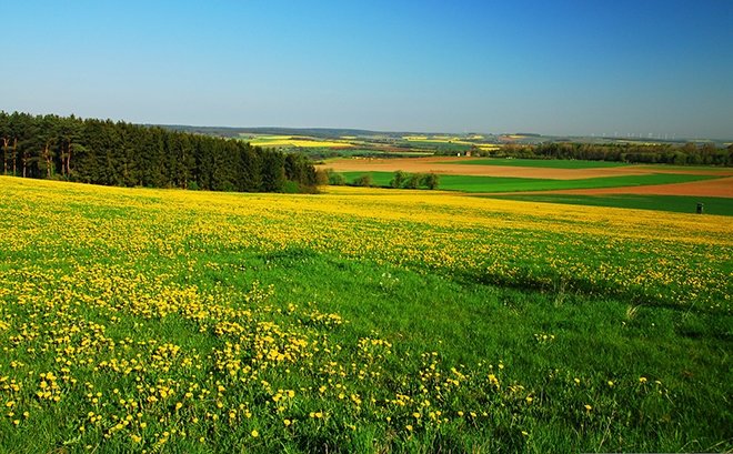 Edebiyatın önemli şairlerinden bahar konulu şiirler