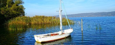 GayrimenkuldeyenicazibemerkeziSakarya1