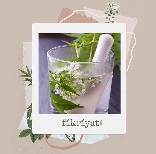 YOĞURT OTU