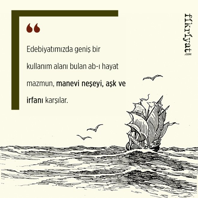 EDEBİYATTA HANGİ ANLAMDA KULLANILIR?