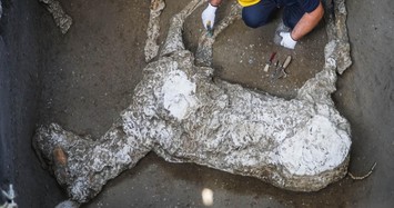 Complete remains of racehorse unearthed in Pompeii excavation