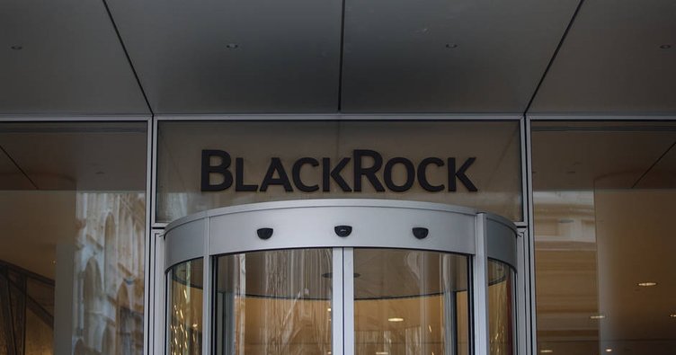 BlackRock’tan iklim değişikliği grubu kararı