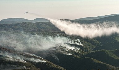 All of Turkey wildfires, except blazes in Milas and Köyceğiz, brought under control - minister